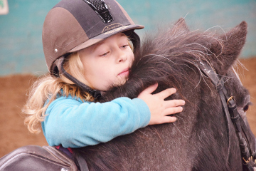 Nos chevaux